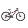 SCOTT CONTESSA 26 DISC